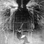 NikolaTesla